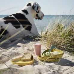 Light My Fire Eat´n Drink Kit BIO For 4 Nature 11 Light My Fire Eat´n Drink Kit BIO For 4 Nature -Outdoor Gear Shop 2f9ba20e0235df98918201b6cf544baa 1