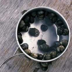 Snow Peak Titanium Personal Cookerset -Outdoor Gear Shop 5 f4a24d2b 74c1 4d6c b87f 1a2061f2d3b5