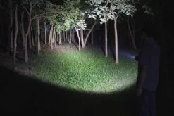 Fenix LD12 2017 Edition LED Flashlight 320 Lumens -Outdoor Gear Shop Fenix LD12 Flashlight light beam