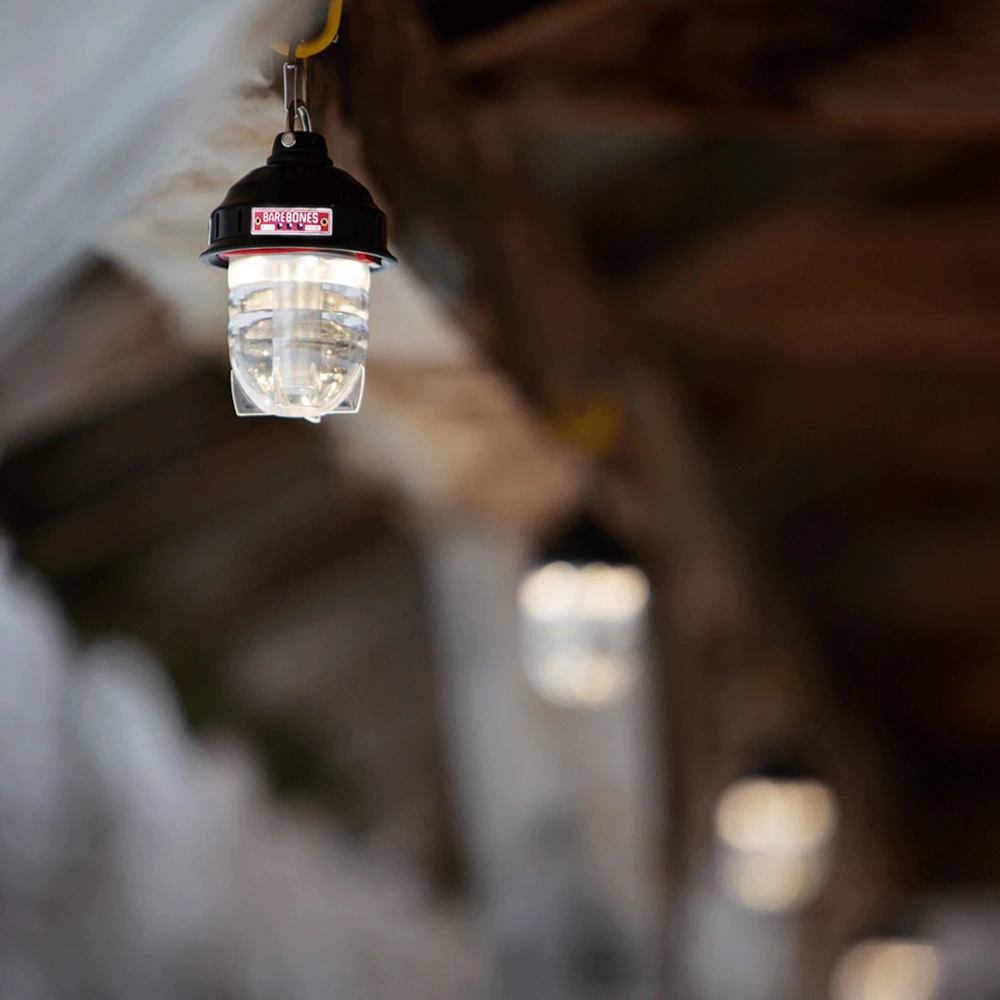 Barebones Beacon Kraft Packaging - Olive 6 Barebones Beacon Kraft Packaging - Olive - Image 4