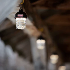 Barebones Beacon Kraft Packaging - Antique Bronze -Outdoor Gear Shop LIV 297 5 b108275a 0686 4a3a 84f6 cca8159ad8ee